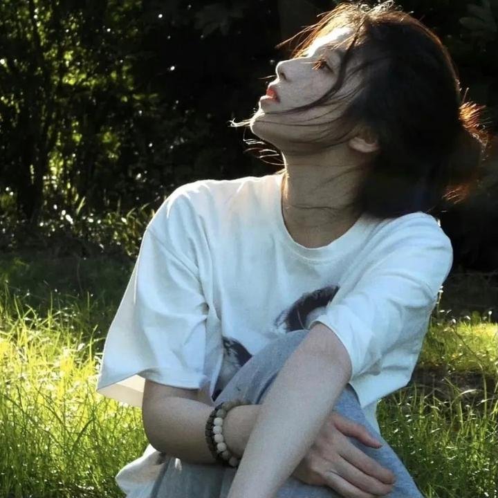 宫崎骏与苍鹭
